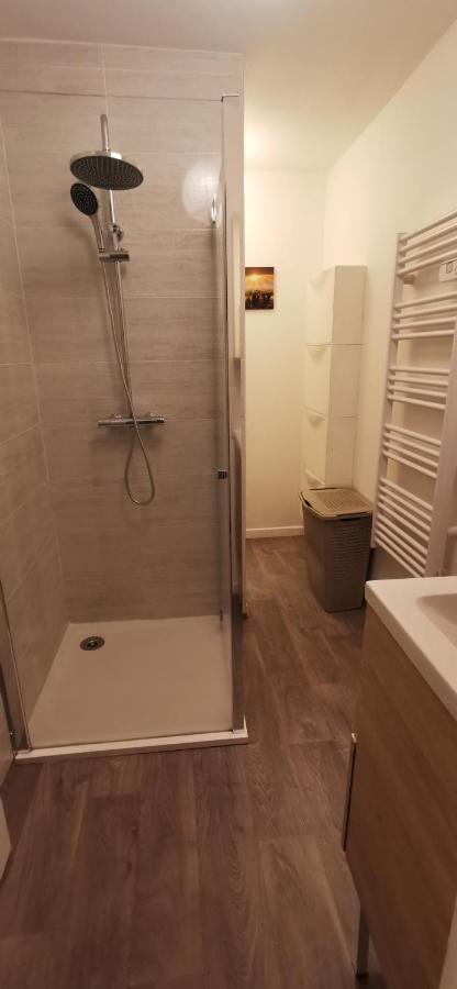 Appartement Cosy Proche Du Centre Ville De Macon H Bagian luar foto